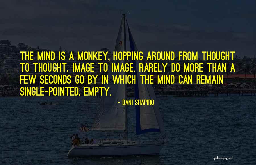Okwudili Quotes By Dani Shapiro Okwudili Quotes By Dani Shapiro