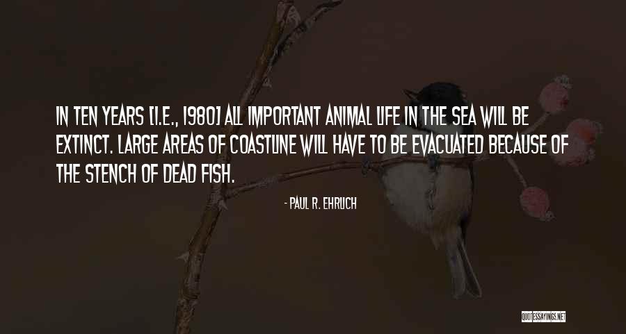 Oladipupo Akinkugbe Quotes By Paul R. Ehrlich Oladipupo Akinkugbe Quotes By Paul R. Ehrlich