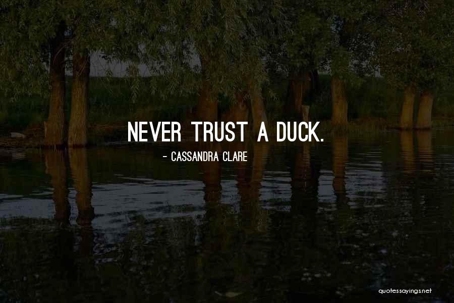 Olano And Pollack Quotes By Cassandra Clare Olano And Pollack Quotes By Cassandra Clare