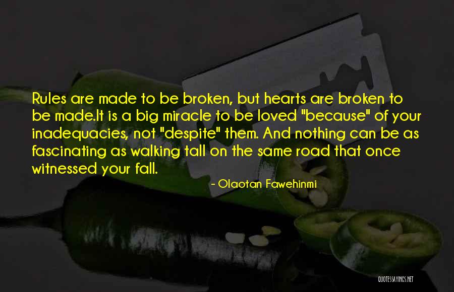 Olaotan Fawehinmi Quotes 1547437