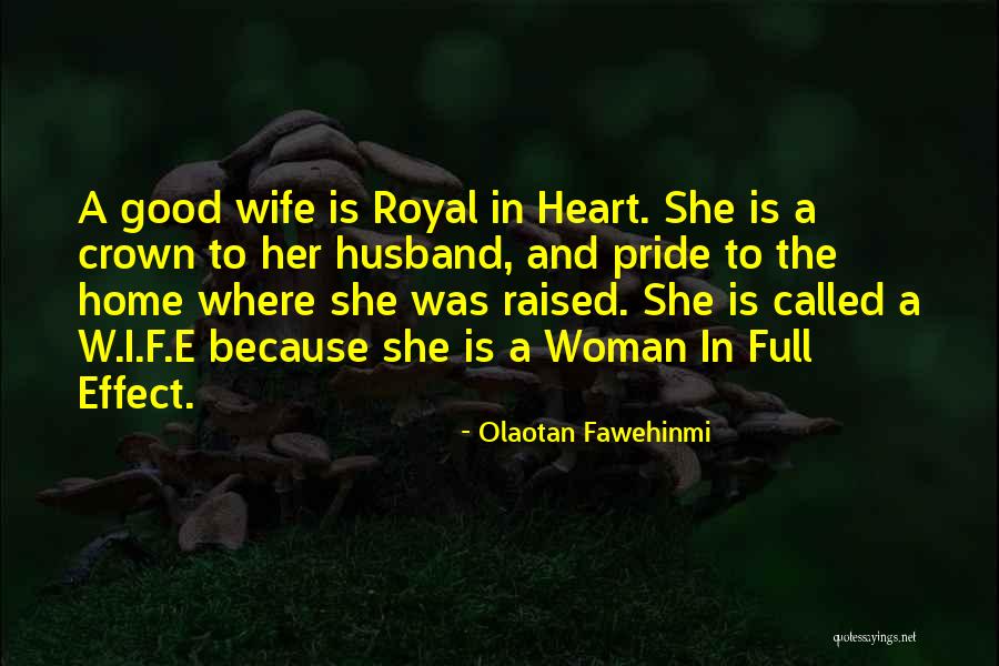 Olaotan Fawehinmi Quotes 2069135