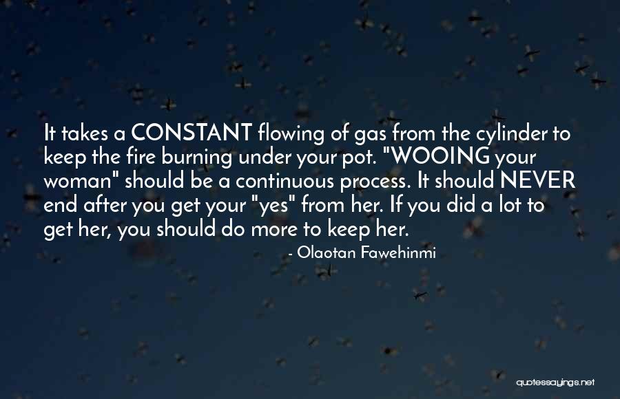Olaotan Fawehinmi Quotes 873464 Olaotan Fawehinmi Quotes 873464