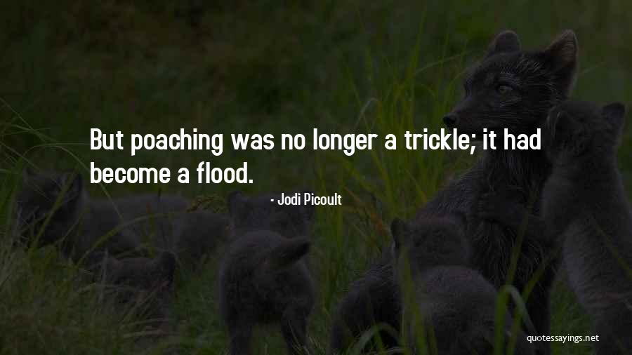 Olasunkanmi Akanni Quotes By Jodi Picoult Olasunkanmi Akanni Quotes By Jodi Picoult