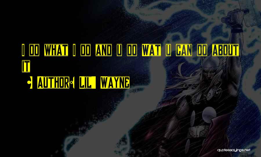 Olayan America Quotes By Lil' Wayne