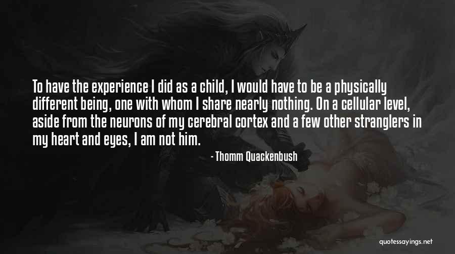 Old Age And Experience Quotes By Thomm Quackenbush Old Age And Experience Quotes By Thomm Quackenbush