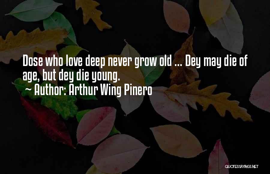 Old Age And Love Quotes By Arthur Wing Pinero