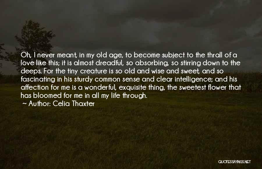 Old Age And Love Quotes By Celia Thaxter