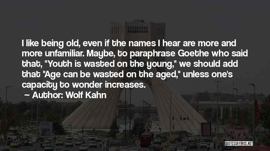 Old Age And Youth Quotes By Wolf Kahn