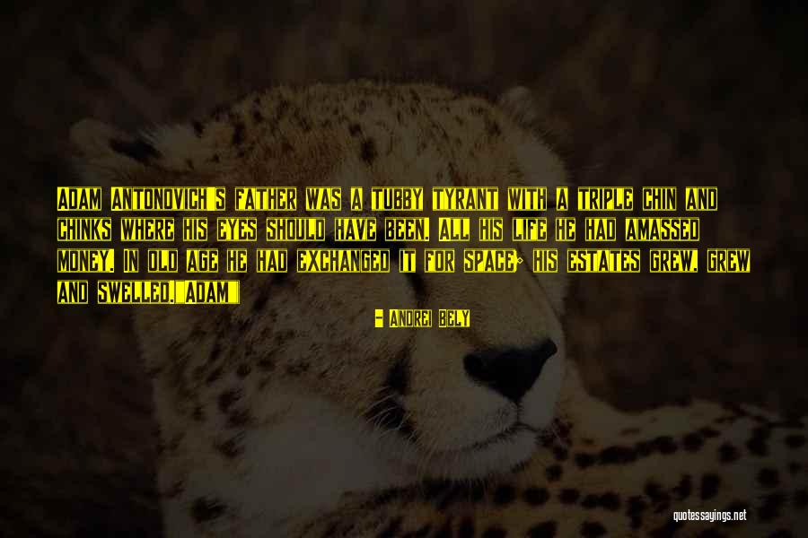 Old Age Life Quotes By Andrei Bely Old Age Life Quotes By Andrei Bely