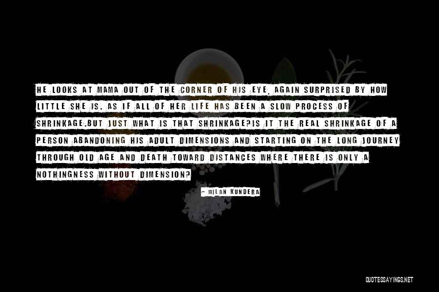 Old Age Life Quotes By Milan Kundera Old Age Life Quotes By Milan Kundera