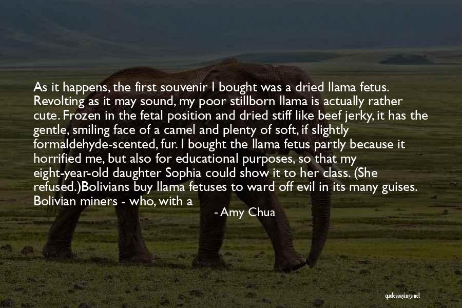 Old Alcohol Quotes By Amy Chua Old Alcohol Quotes By Amy Chua