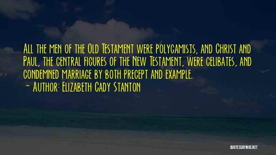 Old And New Testament Quotes By Elizabeth Cady Stanton