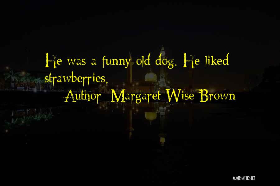 Old And Wise Funny Quotes By Margaret Wise Brown