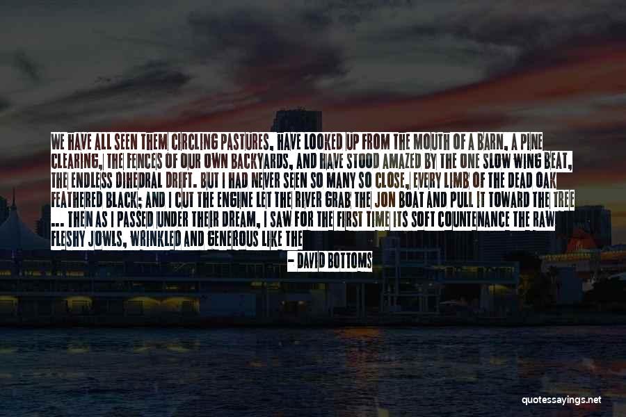 Old Barn Quotes By David Bottoms Old Barn Quotes By David Bottoms