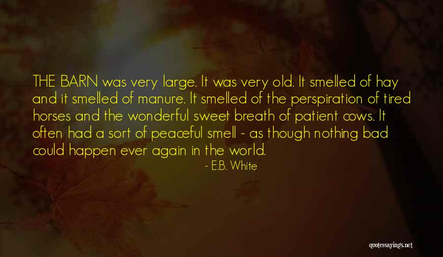 Old Barn Quotes By E.B. White Old Barn Quotes By E.B. White