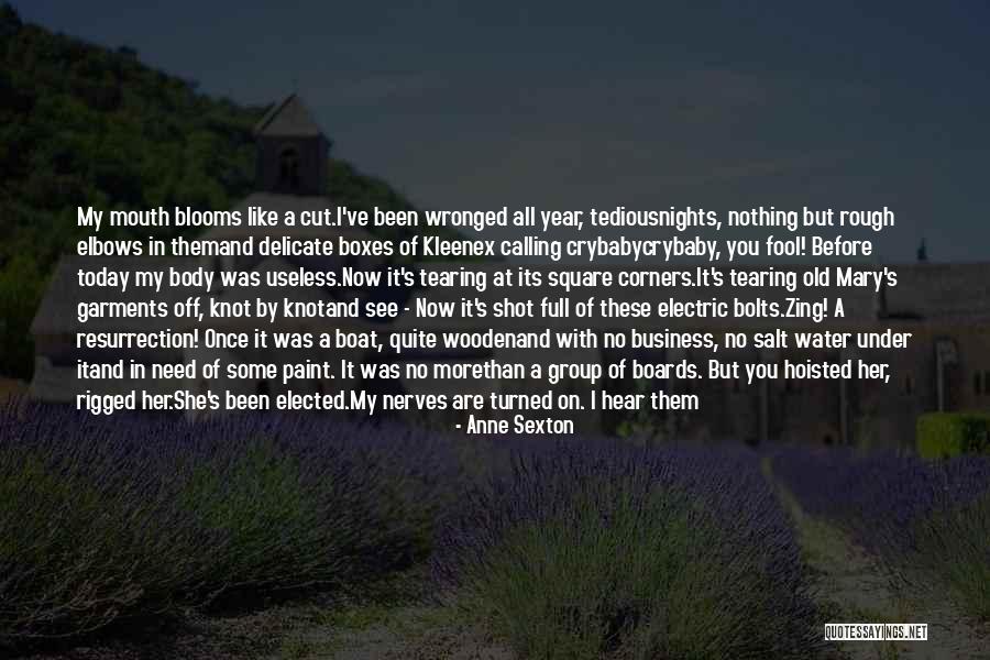 Old Boat Quotes By Anne Sexton Old Boat Quotes By Anne Sexton