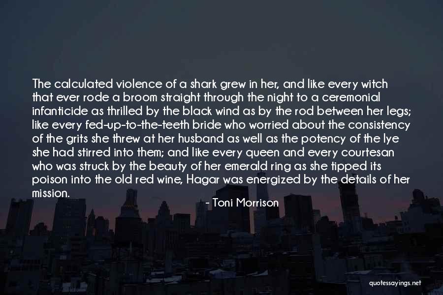 Old Broom Quotes By Toni Morrison Old Broom Quotes By Toni Morrison