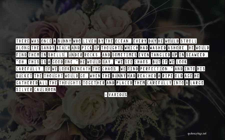 Old Broom Quotes By Various Old Broom Quotes By Various