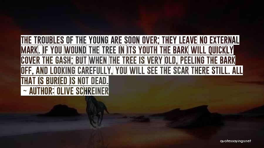 Old But Still Young Quotes By Olive Schreiner