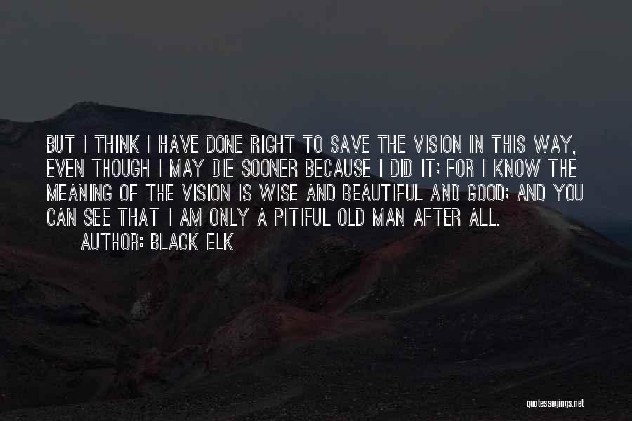 Old But Wise Quotes By Black Elk