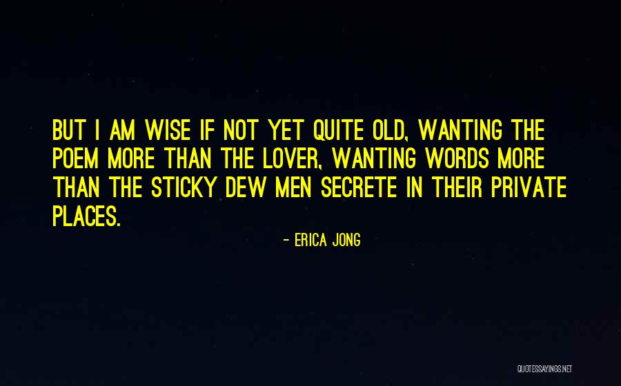 Old But Wise Quotes By Erica Jong