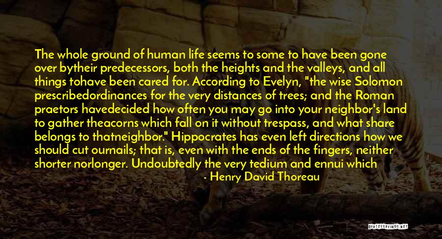 Old But Wise Quotes By Henry David Thoreau