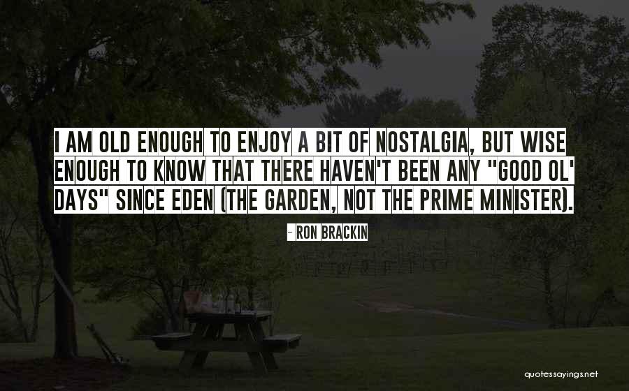 Old But Wise Quotes By Ron Brackin