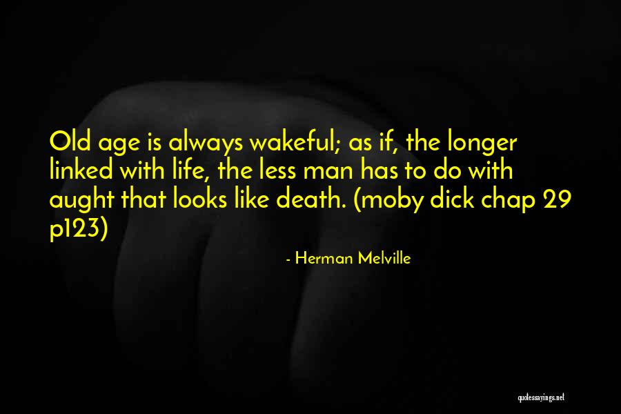 Old Chap Quotes By Herman Melville