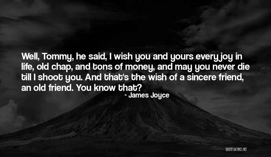 Old Chap Quotes By James Joyce