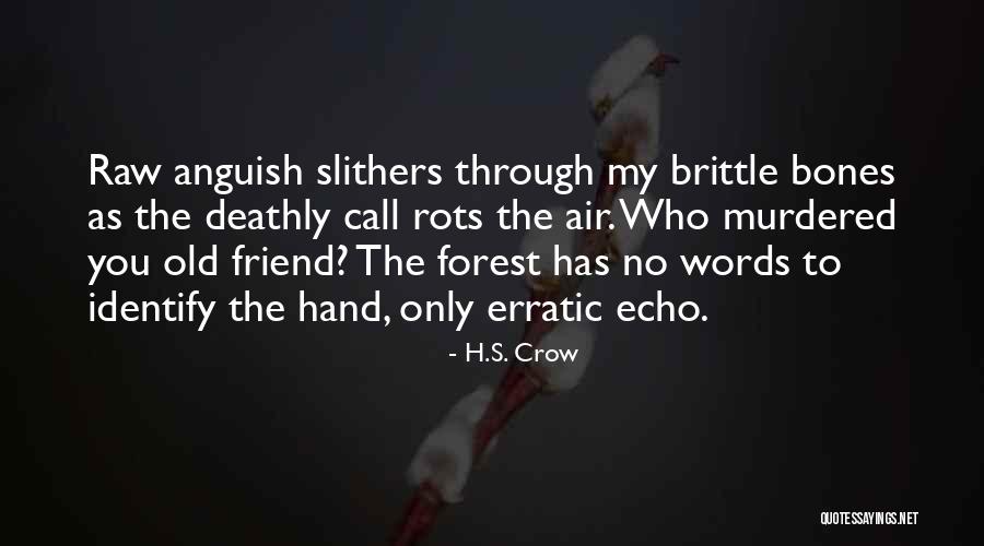 Old Crow Quotes By H.S. Crow Old Crow Quotes By H.S. Crow