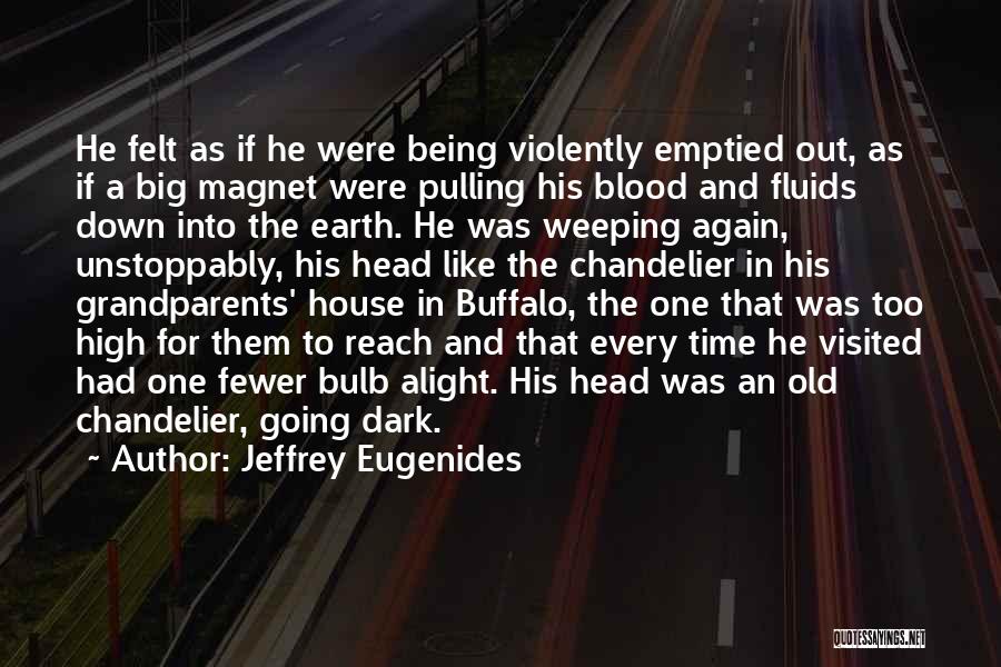 Old Dark House Quotes By Jeffrey Eugenides