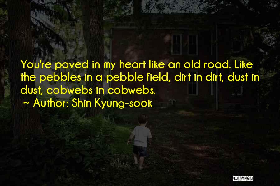 Old Dirt Road Quotes By Shin Kyung-sook