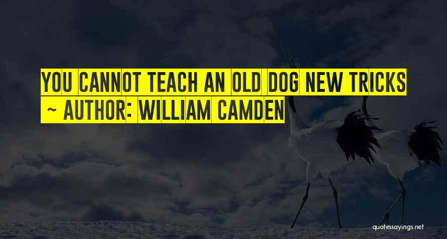 Old Dog New Tricks Quotes By William Camden