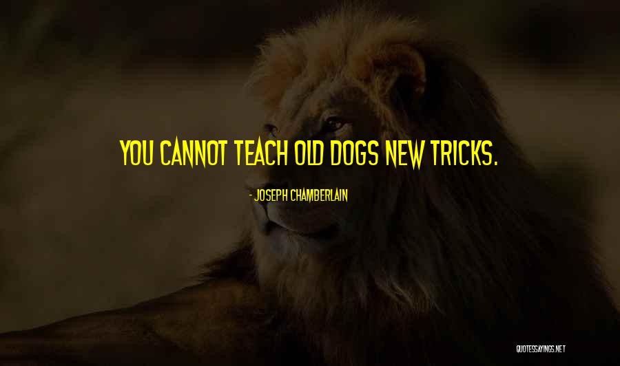 Old Dogs And New Tricks Quotes By Joseph Chamberlain