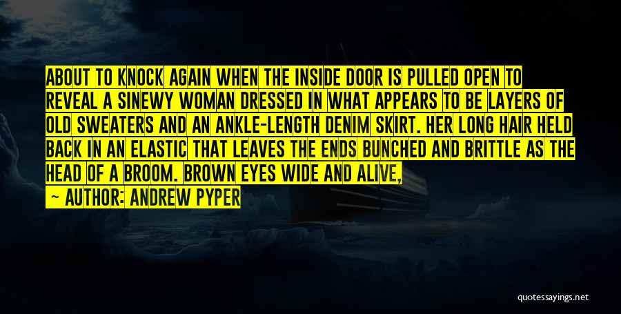 Old Door Quotes By Andrew Pyper