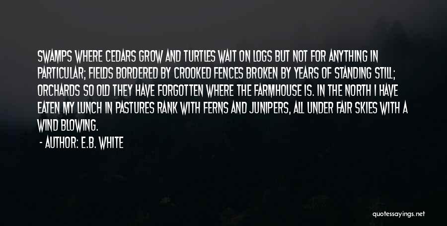 Old Fences Quotes By E.B. White