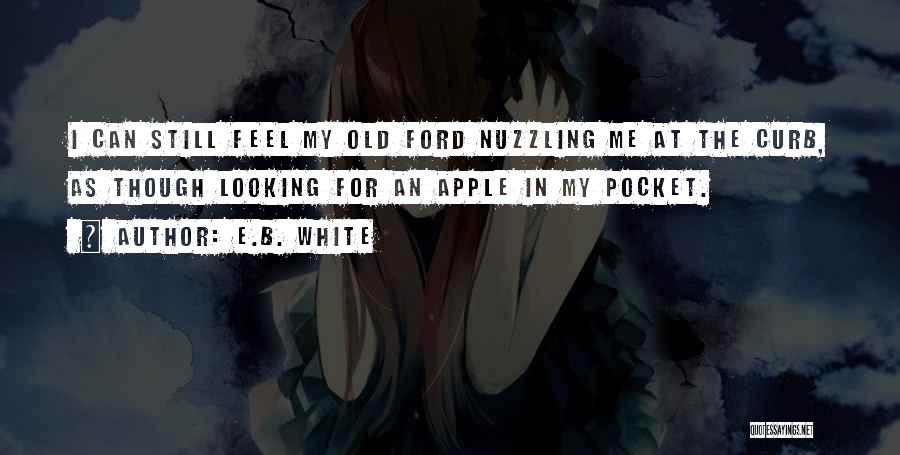 Old Ford Quotes By E.B. White