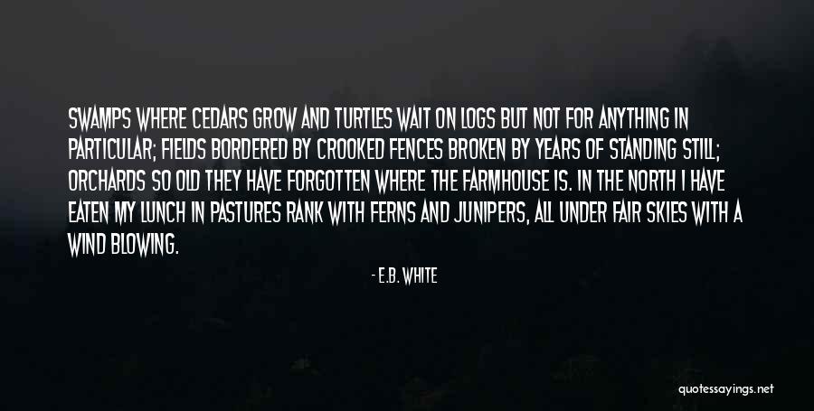 Old Forgotten Quotes By E.B. White Old Forgotten Quotes By E.B. White