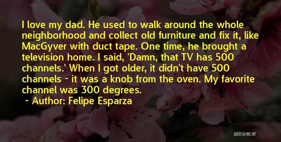 Old Furniture Quotes By Felipe Esparza