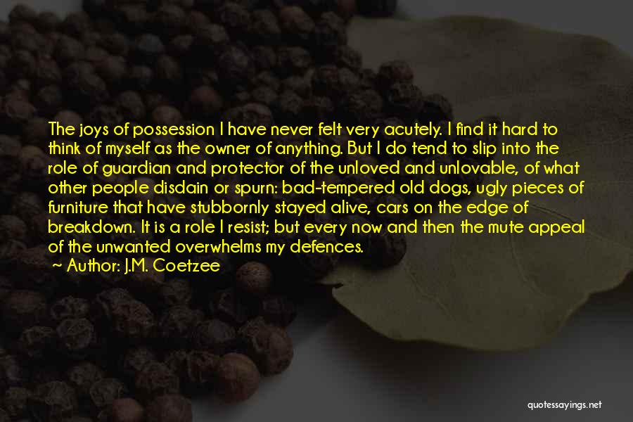 Old Furniture Quotes By J.M. Coetzee
