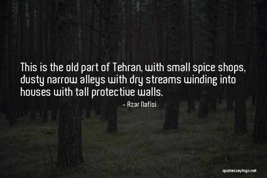 Old Houses Quotes By Azar Nafisi Old Houses Quotes By Azar Nafisi