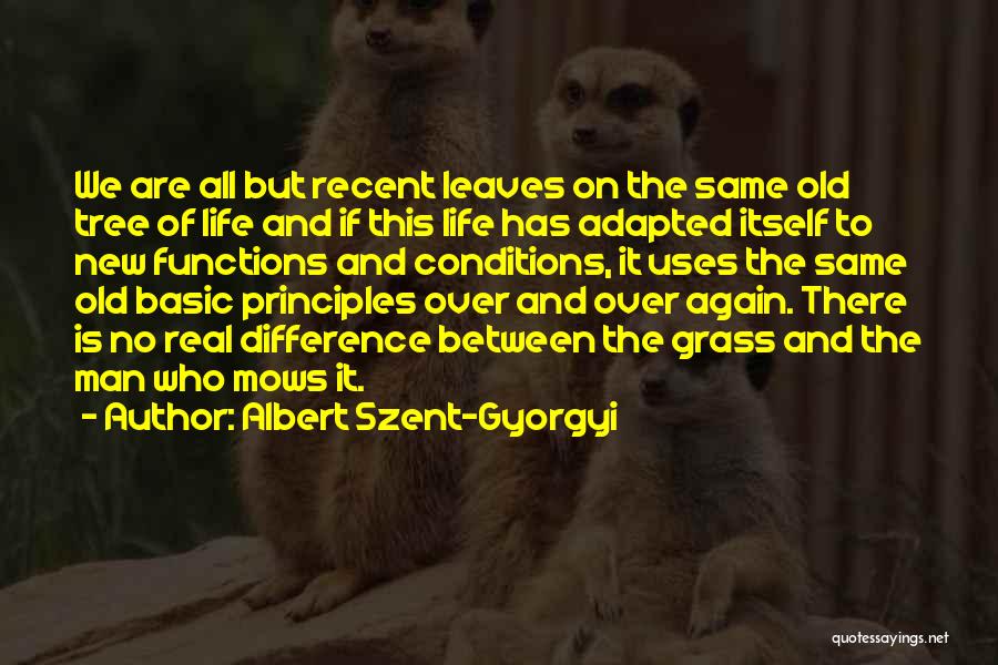 Old Is New Again Quotes By Albert Szent-Gyorgyi
