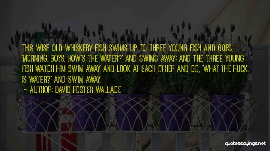 Old Is Wise Quotes By David Foster Wallace