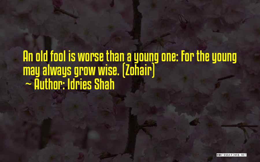 Old Is Wise Quotes By Idries Shah