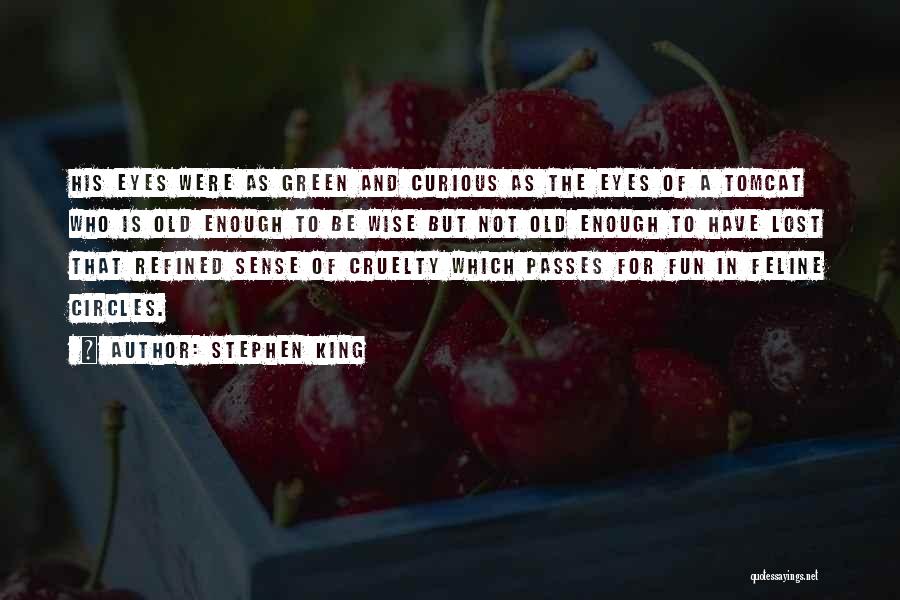 Old Is Wise Quotes By Stephen King