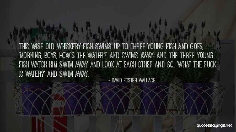 Old Is Young Quotes By David Foster Wallace Old Is Young Quotes By David Foster Wallace