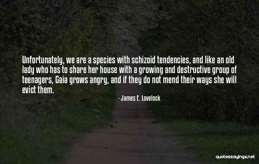 Old Lady House Quotes By James E. Lovelock Old Lady House Quotes By James E. Lovelock