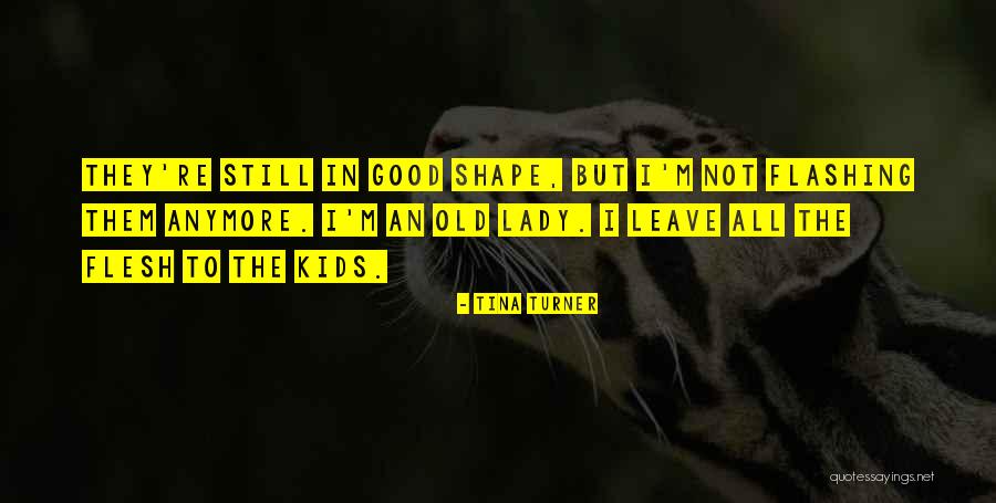 Old Lady Quotes By Tina Turner Old Lady Quotes By Tina Turner