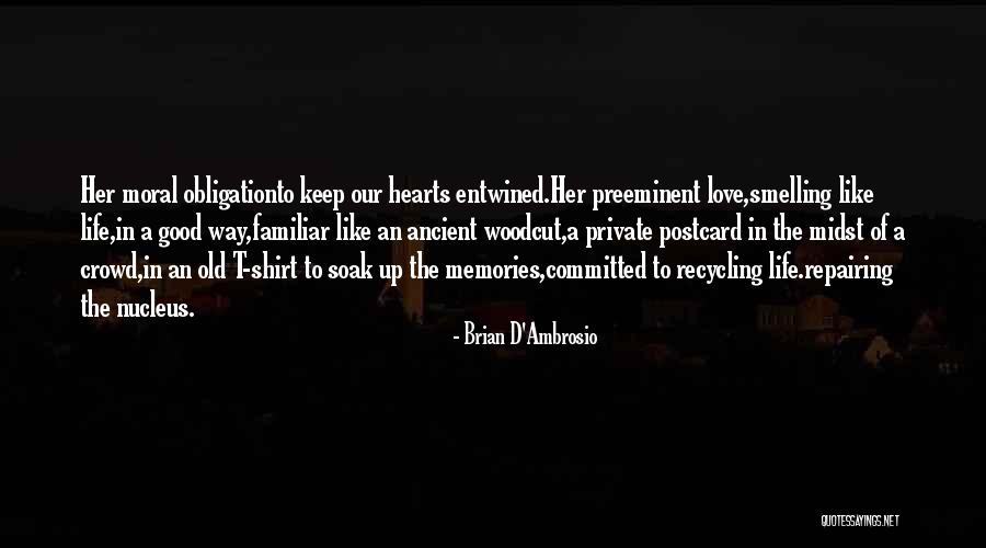 Old Love Memories Quotes By Brian D'Ambrosio