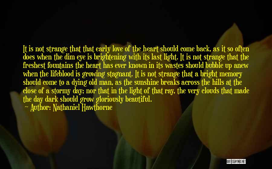 Old Love Memories Quotes By Nathaniel Hawthorne